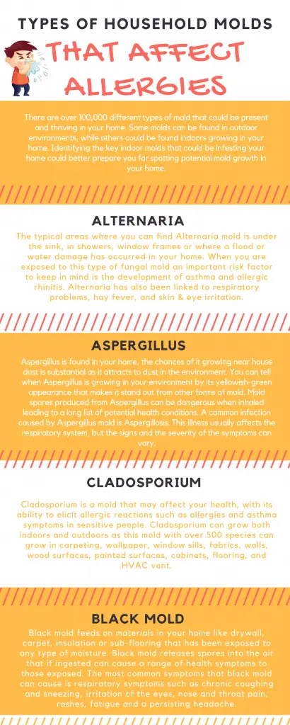 Alternaria &#8211; what are they? How Can I Deal With The Symptoms Of Allergy?