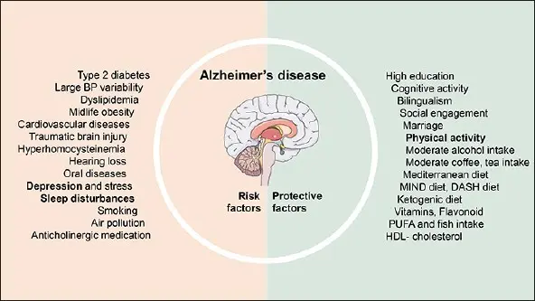 Alzheimer. Two personality traits contribute to dementia. What&#8217;s your risk?