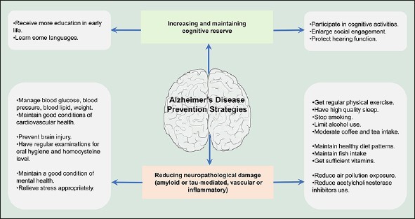 Alzheimer&#8217;s, dementia, and heart disease begin 20-30 years earlier. How to prevent them?