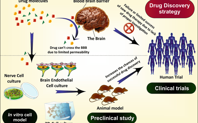 Alzheimer&#8217;s in genes? An important discovery and a step towards the drug