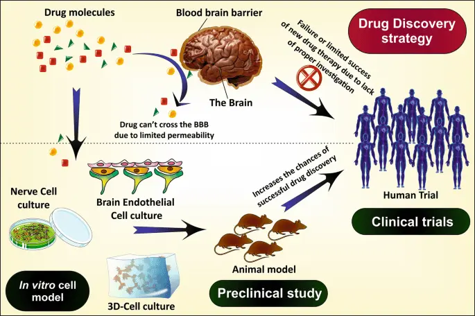 Alzheimer&#8217;s in genes? An important discovery and a step towards the drug