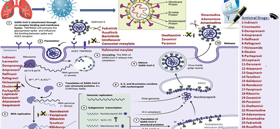 Amantadine and COVID-19. &#8220;The threat of toxicity has no justification here&#8221;