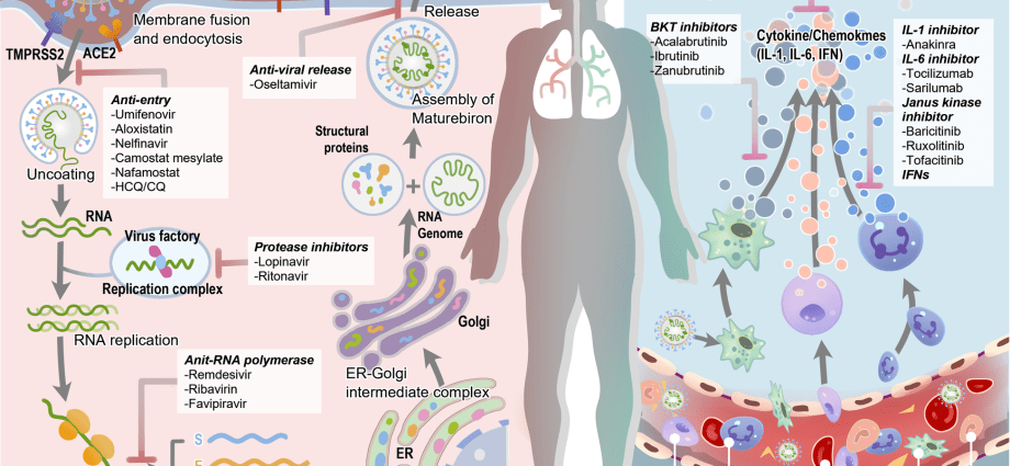 Amantadine in the fight against COVID-19. There is a new study and a new discovery