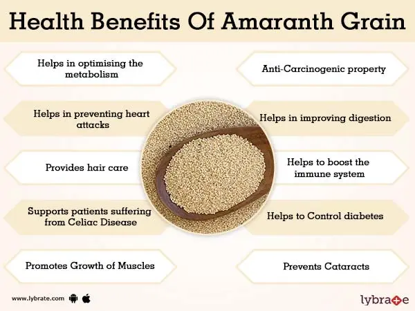 Amaranth &#8211; properties, nutritional values, recipes, side effects of consumption