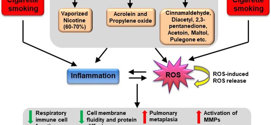 Ambro for acute and chronic respiratory diseases. How to use the drug?