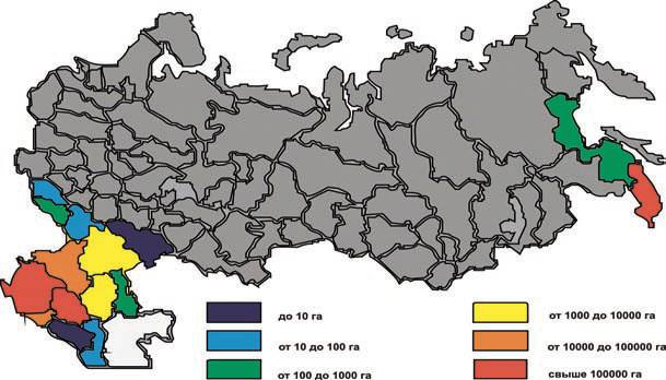 Ambrosia: a quarantine weed