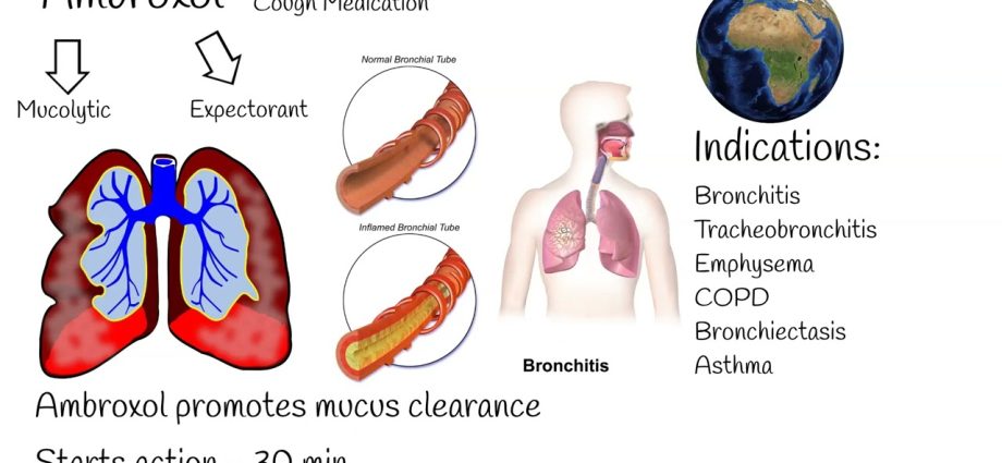 Ambroxol Nycomed for acute and chronic respiratory diseases. How to use?