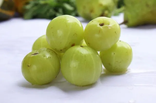 Amla Indian gooseberry: useful properties, use in cosmetology, traditional medicine