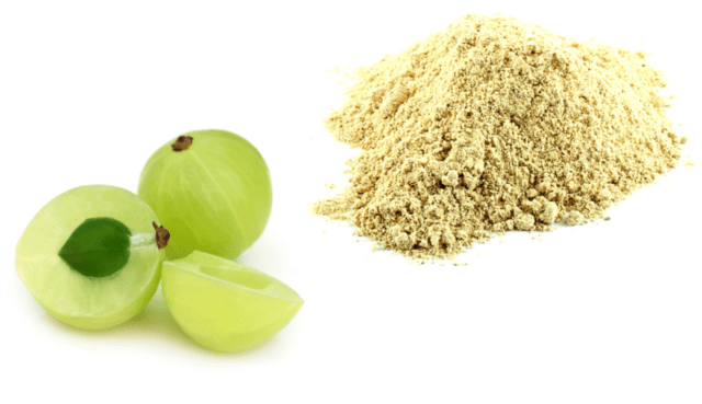 Amla Indian gooseberry: useful properties, use in cosmetology, traditional medicine