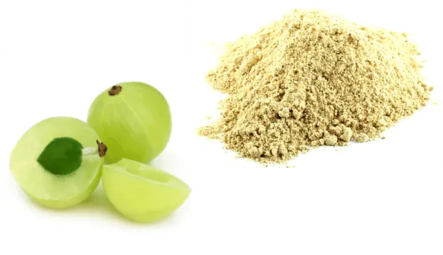 Amla Indian gooseberry: useful properties, use in cosmetology, traditional medicine