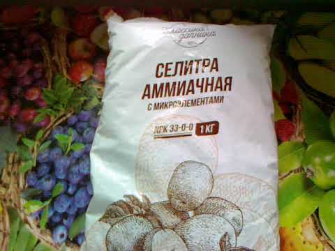 Ammonium nitrate: fertilizer composition, application in the country, in the garden, in gardening