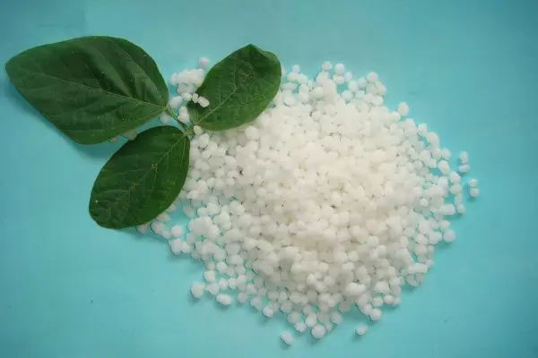 Ammonium nitrate: instructions for the use of fertilizer