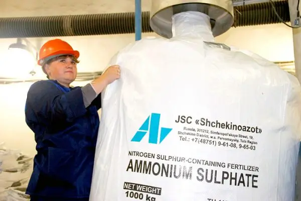 Ammonium sulfate fertilizer: application, use with private plants