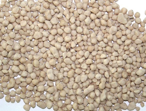 Ammonium sulfate fertilizer: application, use with private plants