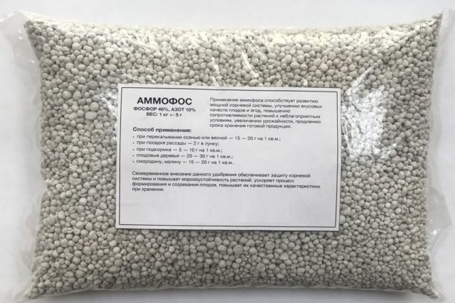 Ammophos as a fertilizer: application in the garden and in the garden, application rates