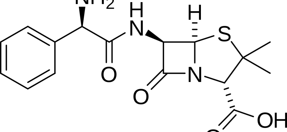 Ampicillin &#8211; properties, action, side effects