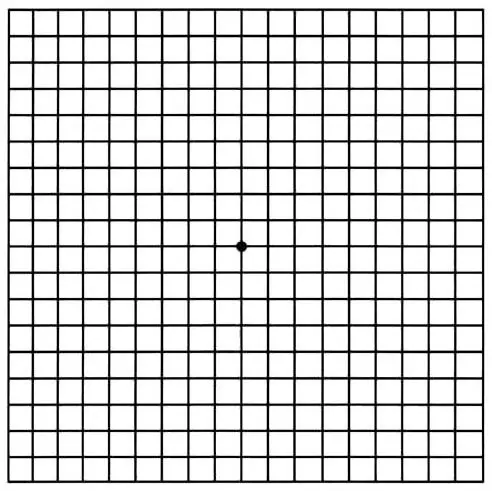 Amsler test &#8211; what is it, course, indications, preparation. Eye macular examination