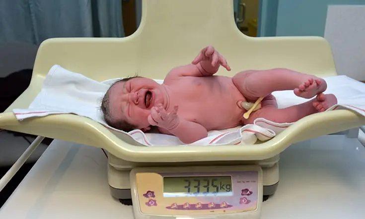 An almost 5 kg newborn was born naturally in water