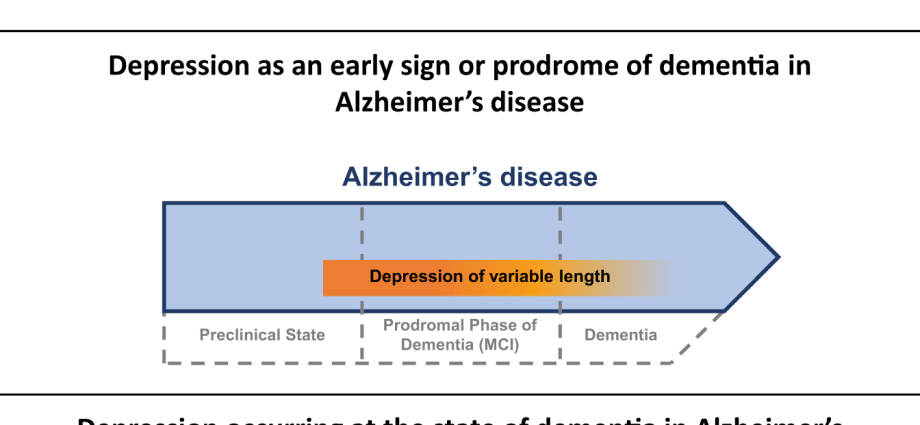 An antidepressant can slow the development of dementia