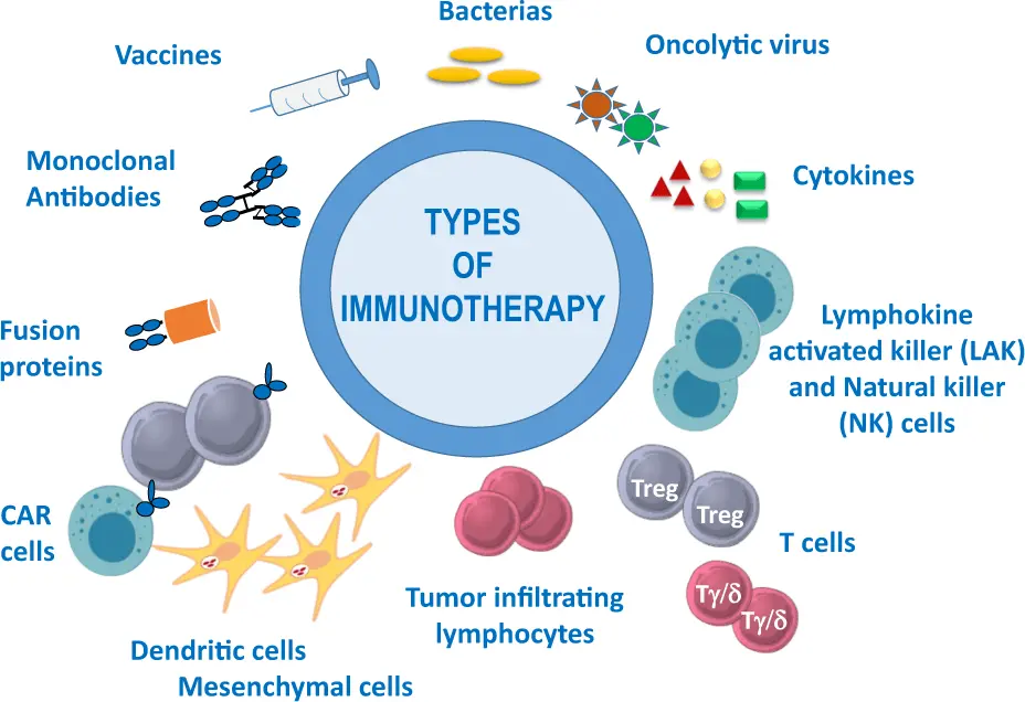 An important discovery about immunity. The risk of almost all diseases is increasing