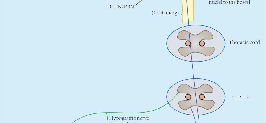 An overactive bladder is a problem for over 2,5 million Poles