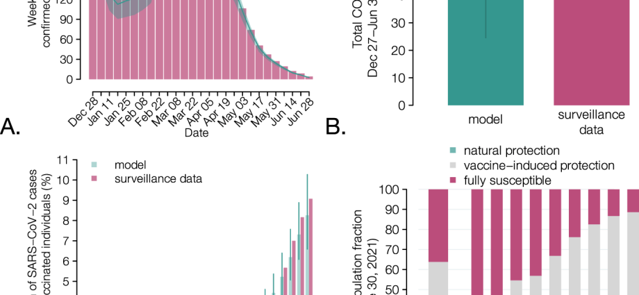 An unvaccinated senior is 56 times more likely to die. Italian research results