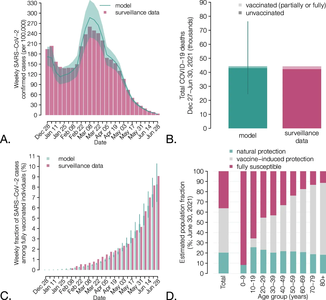 An unvaccinated senior is 56 times more likely to die. Italian research results