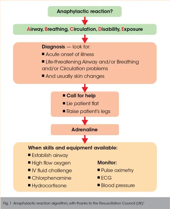 Anaphylactic shock &#8211; how to recognize it and how to proceed?