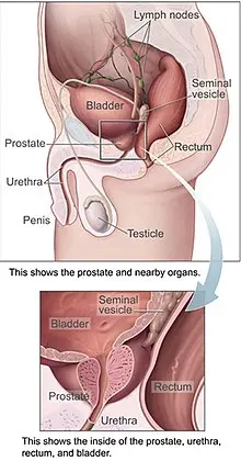 Anorgasmia &#8211; what can cause it?