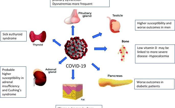 Another COVID-19 side effect. It attacks the pancreas