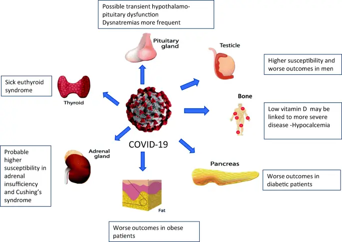 Another COVID-19 side effect. It attacks the pancreas