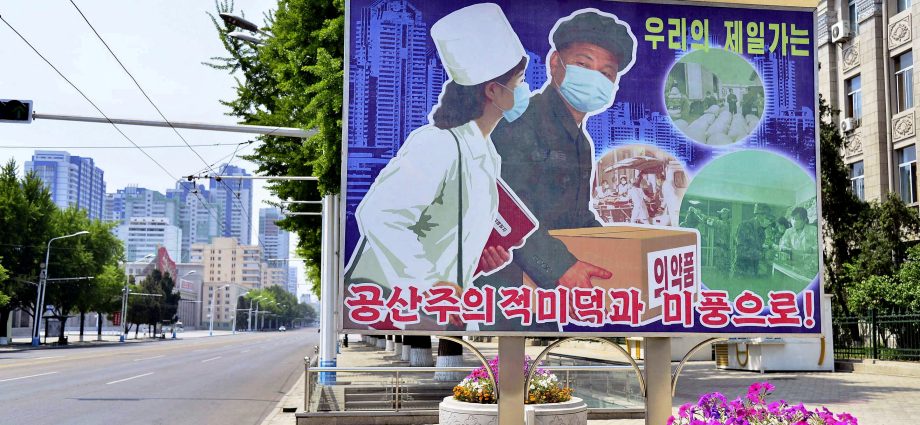 Another epidemic in North Korea. Three diseases on the suspect list