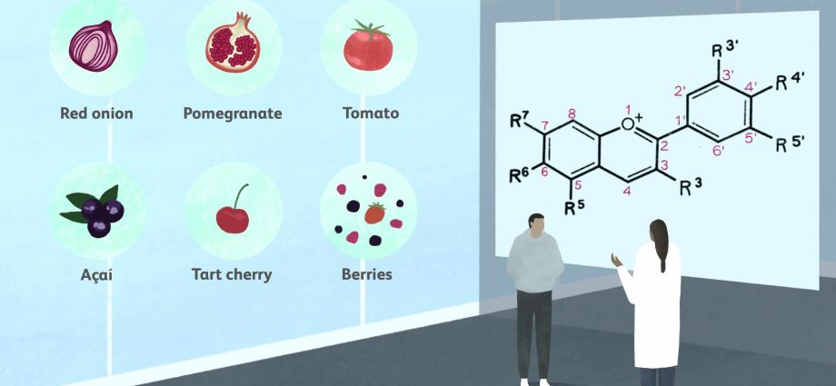 Anthocyanins &#8211; application. Where can you find anthocyanins?