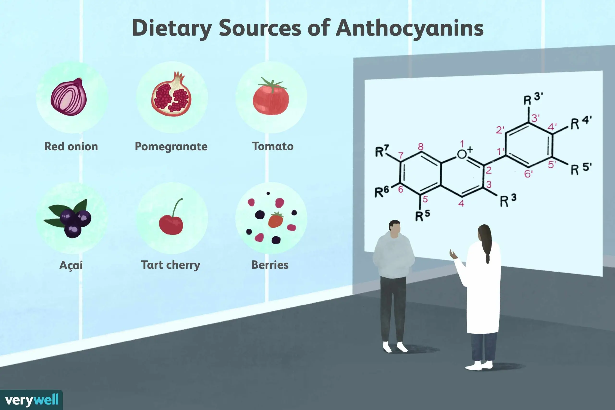 Anthocyanins &#8211; application. Where can you find anthocyanins?