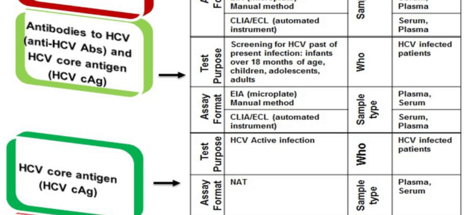 Anti-HCV &#8211; examination, indications, norms, symptoms of infection [EXPLAINED]