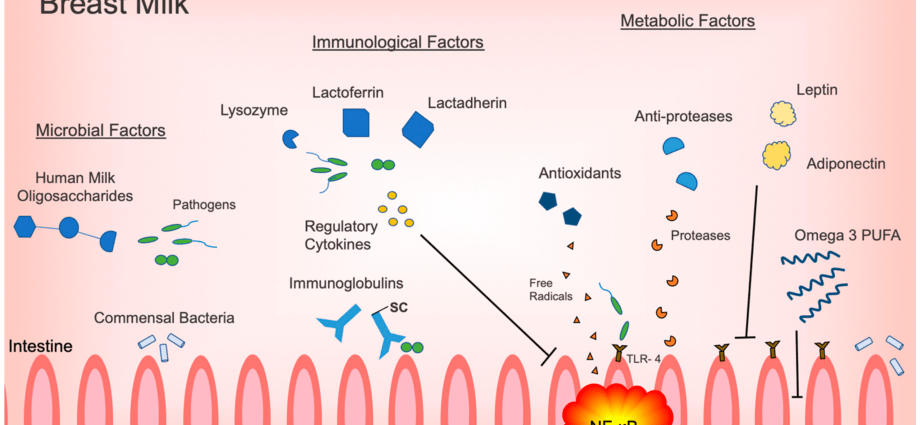 Anti-inflammatory breast milk