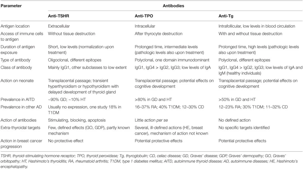 Anti-TPO &#8211; indications, standards, interpretation. What is Anti-TPO? [WE EXPLAIN]