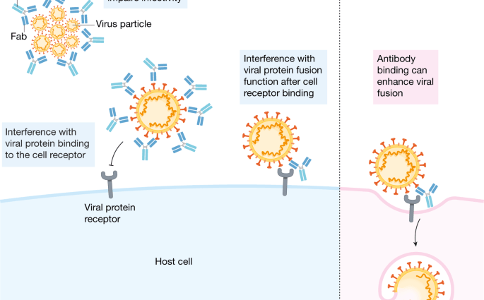 Anti-Vaccines &#8211; Why Are They Dangerous? (BOOK FRAGMENT)