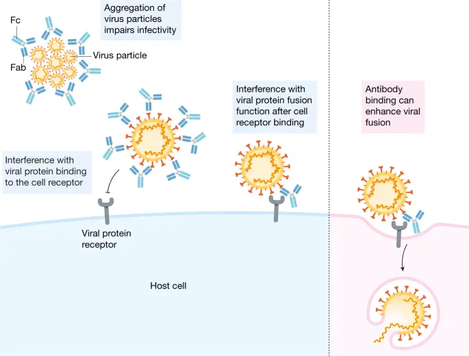 Anti-Vaccines &#8211; Why Are They Dangerous? (BOOK FRAGMENT)