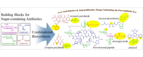 Antibiotic from sugar