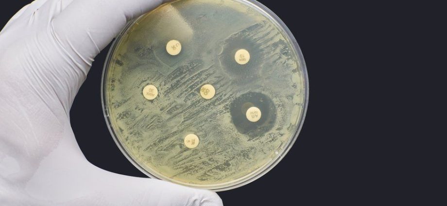 Antibiotic resistance &#8211; the plague of the XNUMXst century. Drug-resistant bacteria kill millions of people every year [NEW PANDEMIC?]