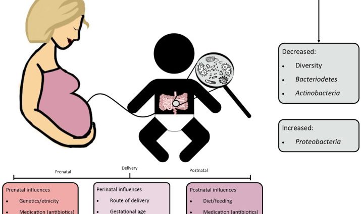 Antibiotic therapy during pregnancy may promote the development of asthma in children