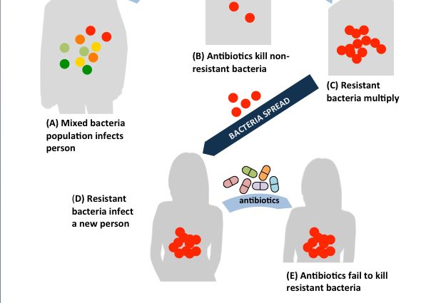 Antibiotics and bacteria, or the arms race