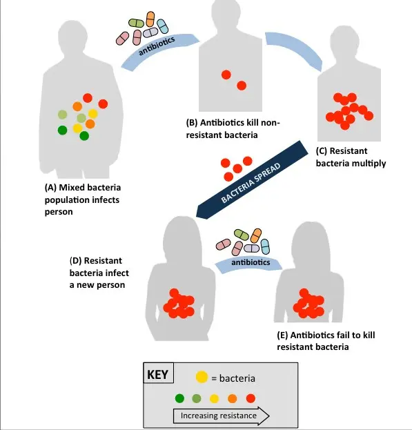 Antibiotics and bacteria, or the arms race