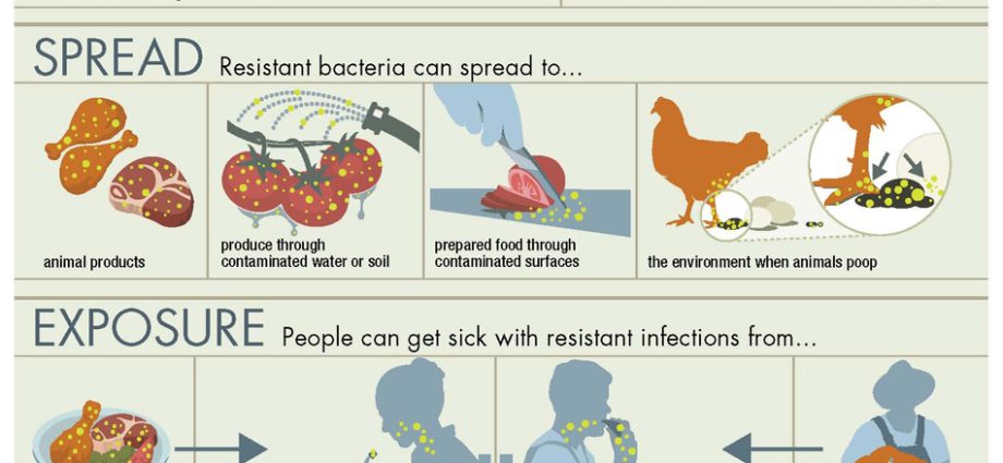 Antibiotics in meat &#8211; what should we know about them?