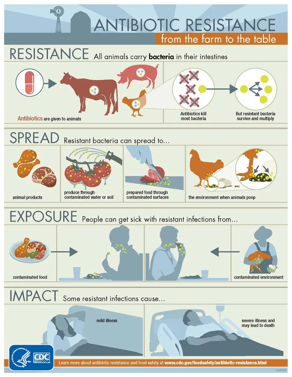 Antibiotics in meat &#8211; what should we know about them?