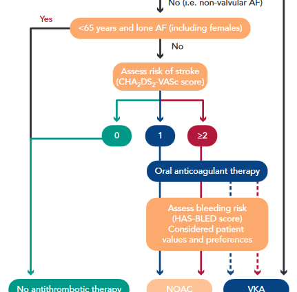 Anticoagulant treatment methods. Atrial fibrillation drugs