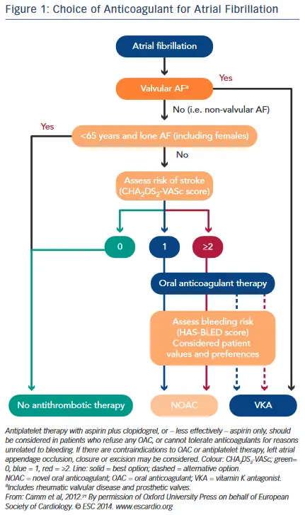 Anticoagulant treatment methods. Atrial fibrillation drugs