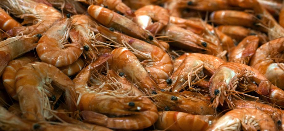 Antidepressants are a threat to shrimps and humans