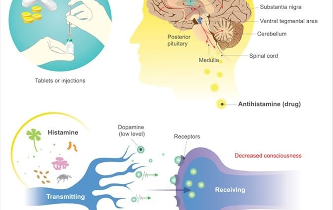 Antihistamines &#8211; action, types, indications, side effects